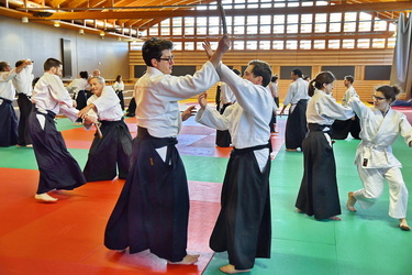 dojo le lieu où l'on apprend la voie du maitre  